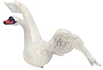 Whhite swan.jpg